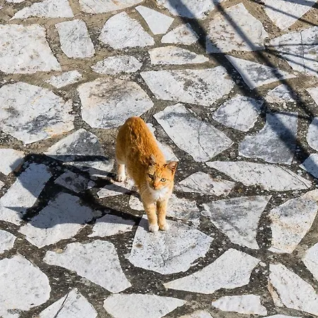 Apaggio Di - Private Parking & Sea View Lägenhet *